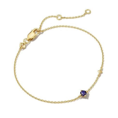 Gold Plating Titanium Steel and Blue marine Zircon Minimalist Bracelet