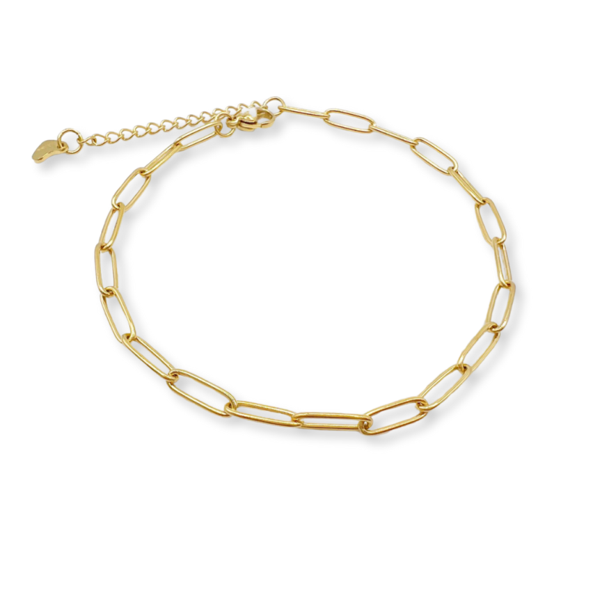 S.Steel Gold Plating Anklets Women-c 6g