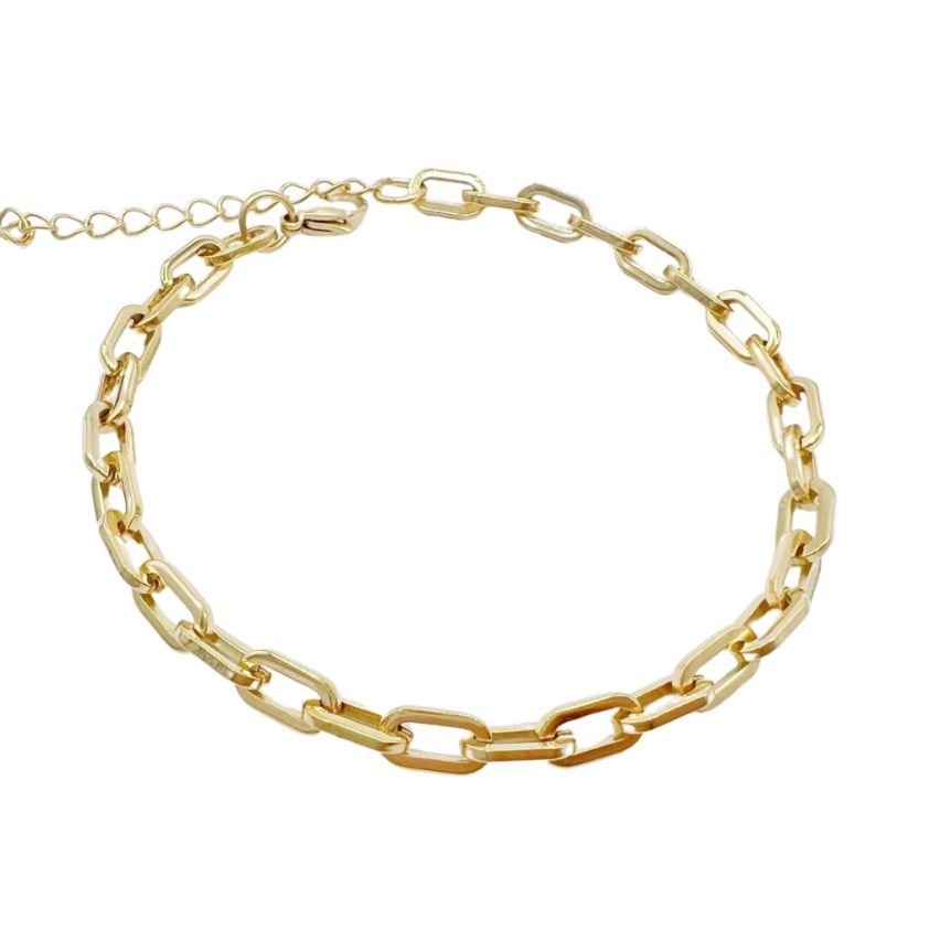 S.Steel Gold Plating Anklets Women-c 12g