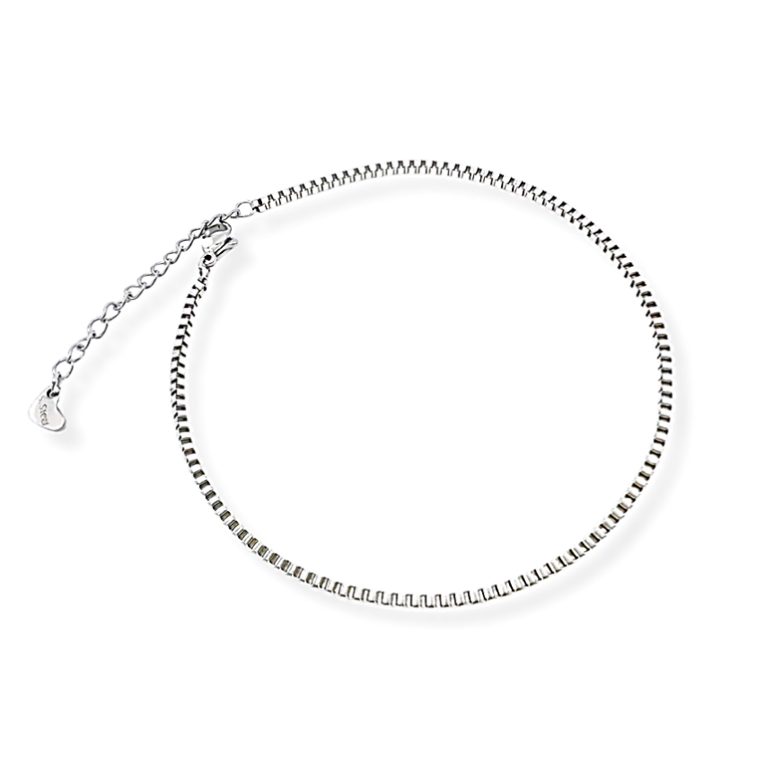 S.Steel Anklets Women-c 5g