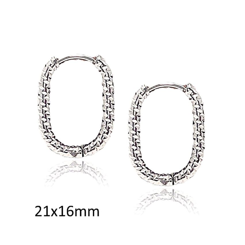 Shiny S.Steel Hoop (Standard) Earrings