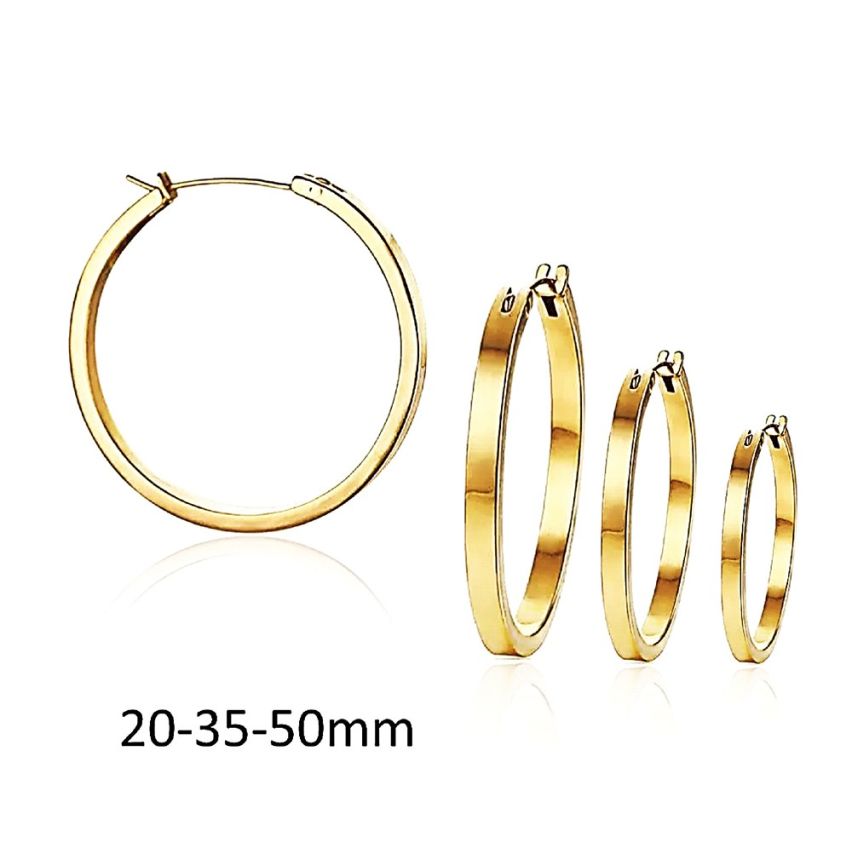 Gold Plating S.Steel Hoop (Standard) Earrings