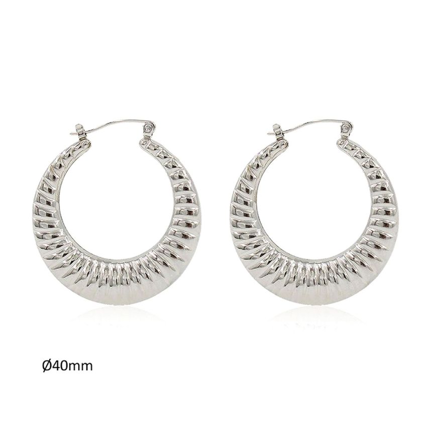Shiny S.Steel Hoop Earrings