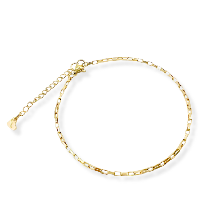S.Steel Gold Plating Anklets Women-c 4.5g 270x2mm