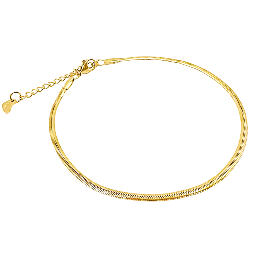 S.Steel Gold Plating Anklets Women-c 4.5g 270x2mm