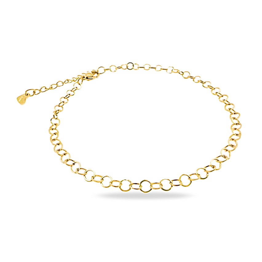 S.Steel Gold Plating Anklets Women-c 4g
