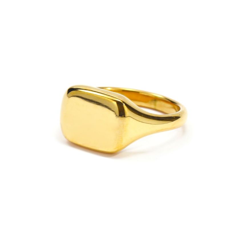 S.Steel Gold Plating With Plate Women-c 5.5g 21x11mm